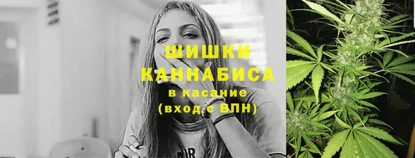 амф Козловка