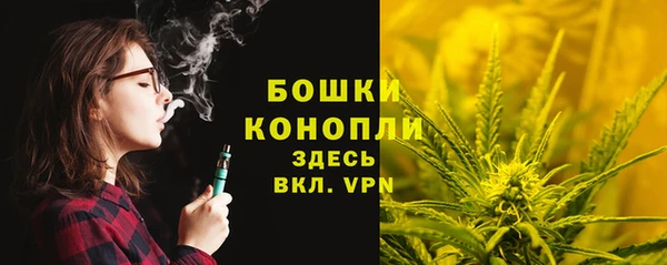 мдпв Козельск