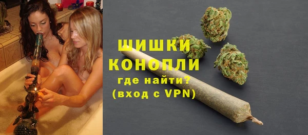 мдпв Козельск