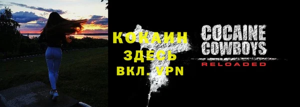 мдпв Козельск