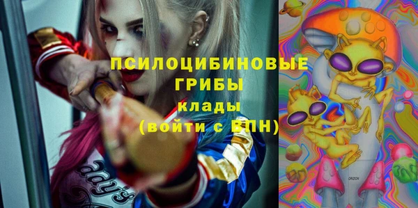 амф Козловка
