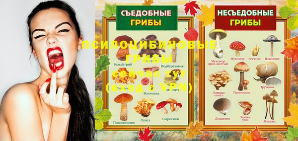 мдпв Козельск