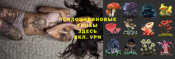 соль курить ск Михайловка