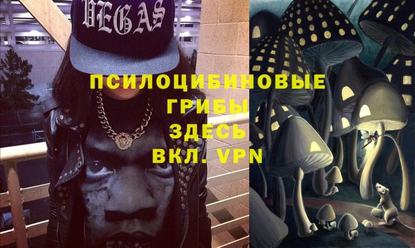 мдпв Козельск