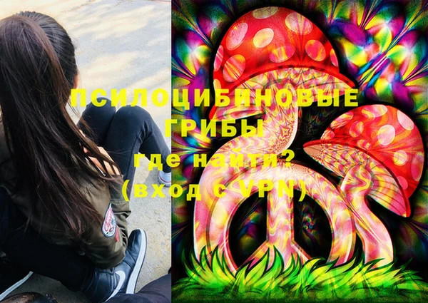 мдпв Козельск