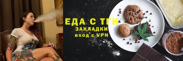 мдпв Козельск