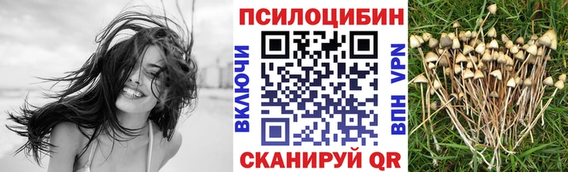 Псилоцибиновые грибы ЛСД Чебаркуль